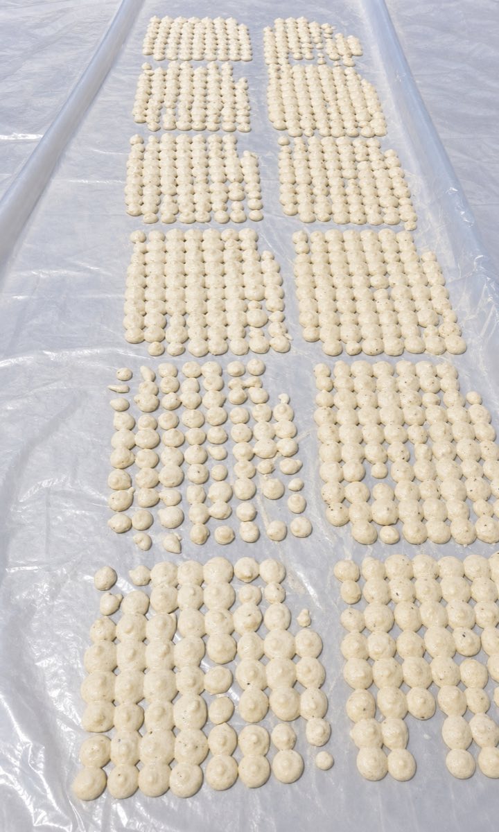 Adauri pieces arranged for drying